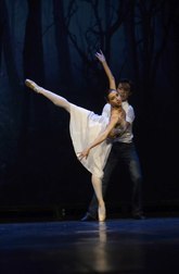 Trnoružica, baletna priča o svevremenoj ljubavi